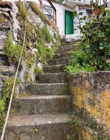 Relaxing House By The Beach - Casa Rosa Horta (Azores) Exterior foto